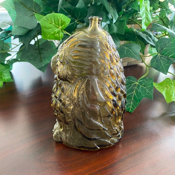 VINTAGE LIBBEY WISE OLD OWL MOLDED GLASS COIN BANK - Picture 3 of 6
